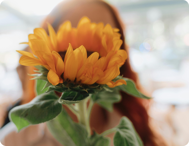 Yellow flower bud in soft focus with blurred background